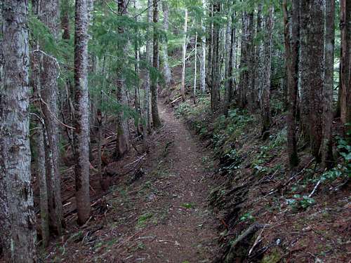 Mount Muller Trail