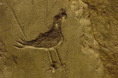 Petroglyph of a bird