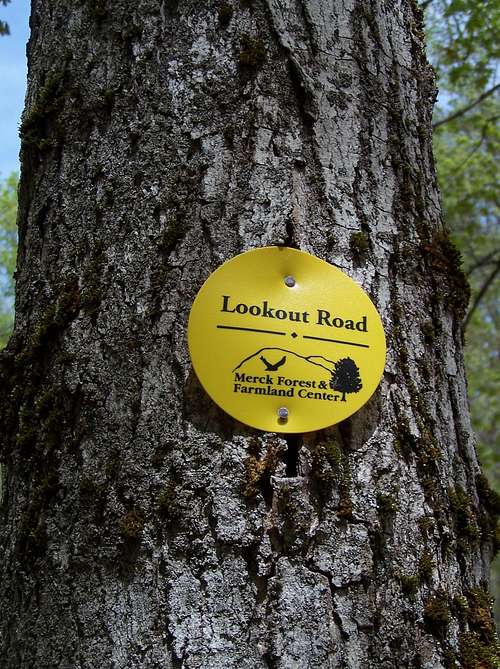 Merck Forest Trail Marker