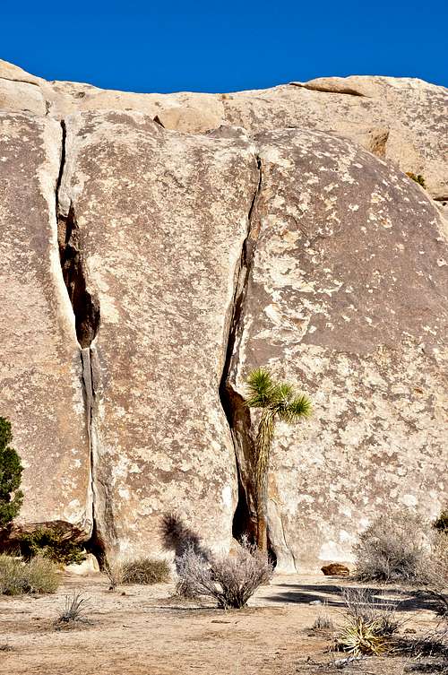Peyote Cracks, west face