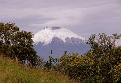 Cotopaxi as seen from Ilaló.