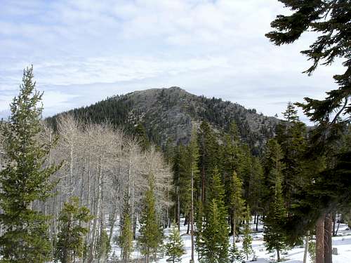 Duane Bliss Peak from the south