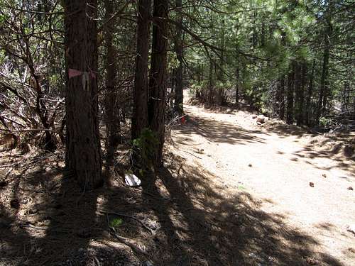 Trail leading towards Cobb Mountain summits