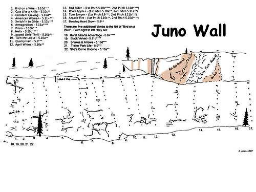 Juno Wall Topo