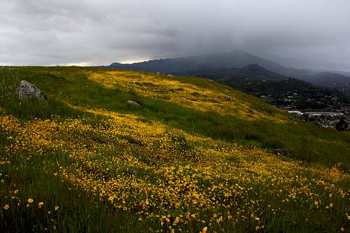 Spring hillside and approaching storm