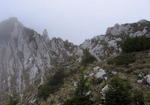 Part of the north ridge (Padina Popii - Turnu).
