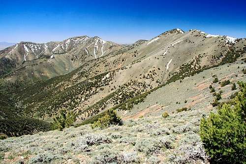 Quinn Canyon Range crest ridge