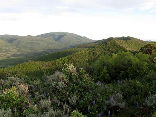 North Hogback Peak