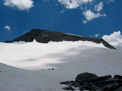 Mt. Lyell & Lyell Glacier;...