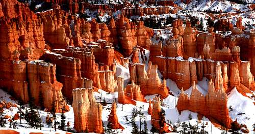 Color in Bryce Canyon