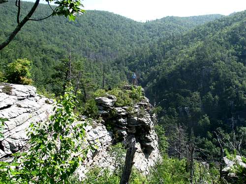 The Sweet Surprise of Linville Gorge