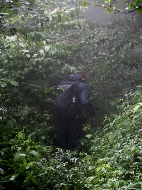 Hiking or Bushwhacking