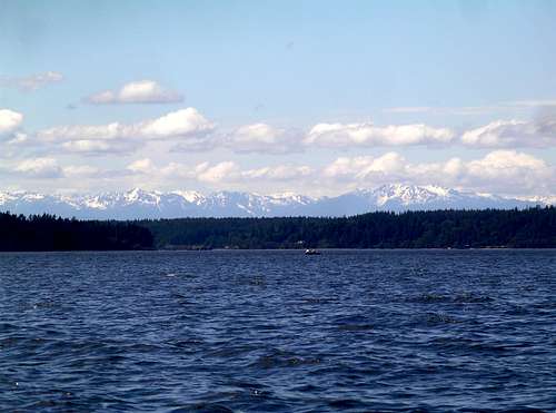 Olympic Mountains Over the South Puget Sound