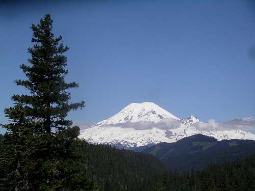 Mount Rainier from Hwy 12