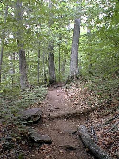 The trail up to Ampersand Mt