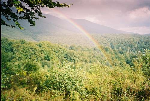 Rainbow over the canopy of world's treasure