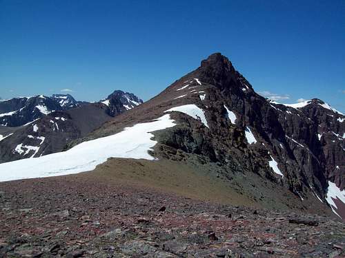 Mount Henry June 2010