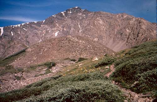 Trail to Torreys Peak