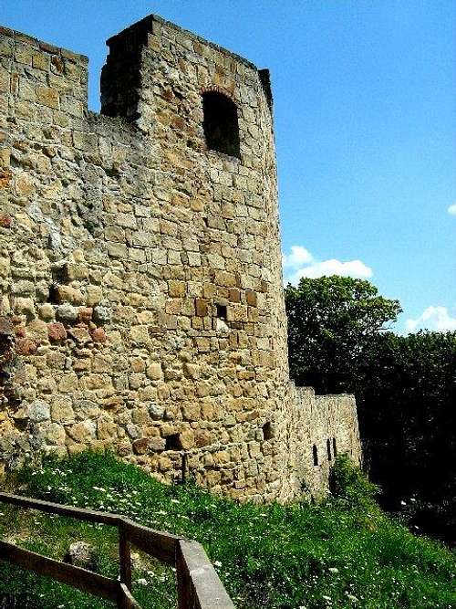 Ruins of Kamieniec Castle 
