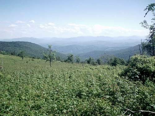 Looking South from Mt Rogers Spur