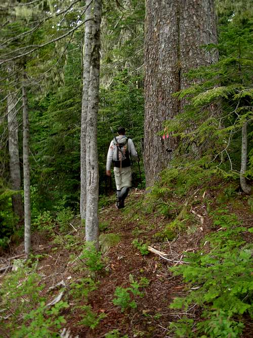 Gimpilator Hikes The New Round Mountain Trail