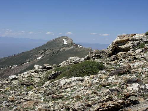 Greys Peak from the ridge near Peak 10745 