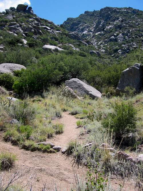 Trail to Lower La Cueva