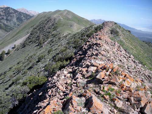 Bald Mountain Ridge