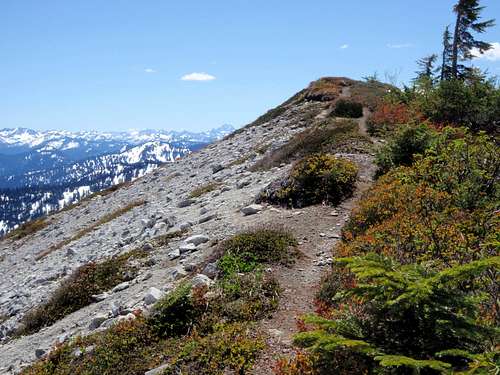 Benchmark Mountain / West Cady Ridge