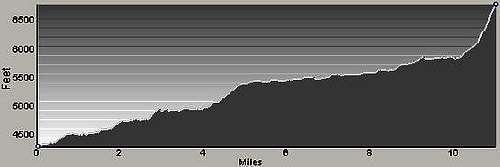 Blodgett Creek Trail Profile