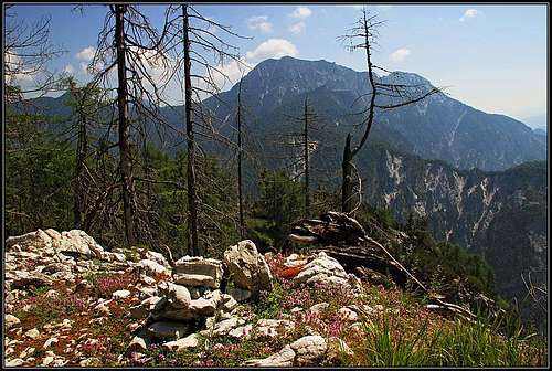 Monte Scinauz from Monte Brizzia