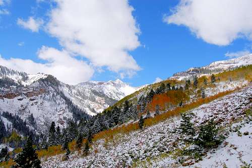 Fall Snow on Mineral Basin