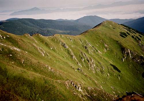 alpine zone of Low Tatras - Slovakia