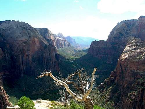 Zion Canyon from Angels Landing