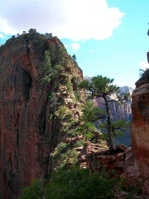 Angels Landing from trail