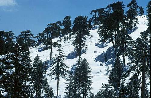 Mount Olympos: The area is...