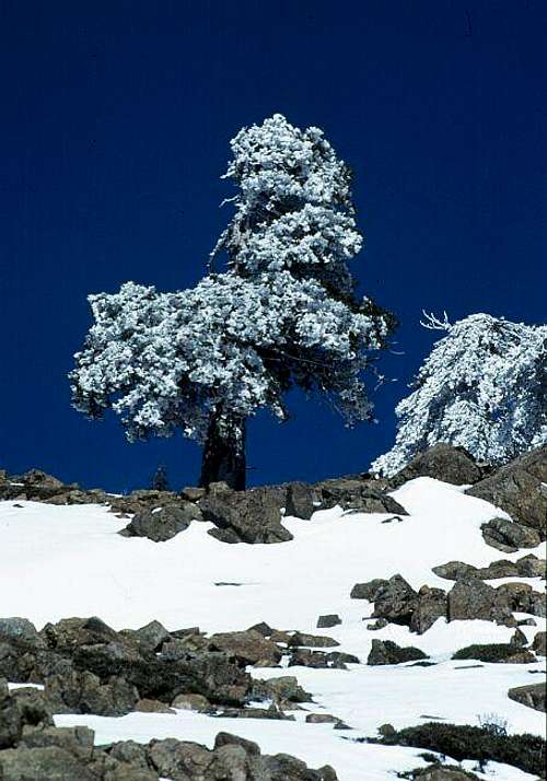 Mount Olympos: The area is...