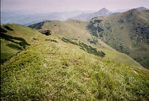 Rozsutce in the backgraound (Little Fatra - Slovakia)