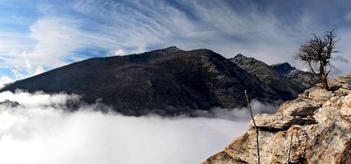 Printz Ridge Above the Mist
