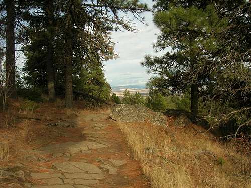 Kamiak Butte Pine Ridge Trail