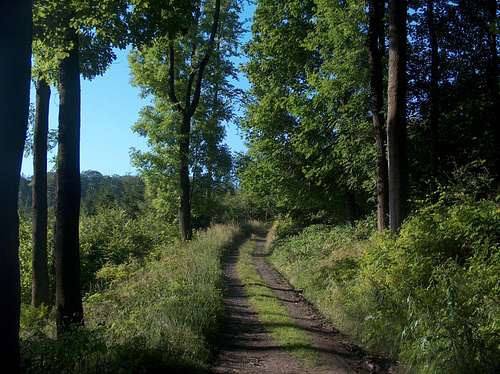 On the trails of Kłodzka Góra