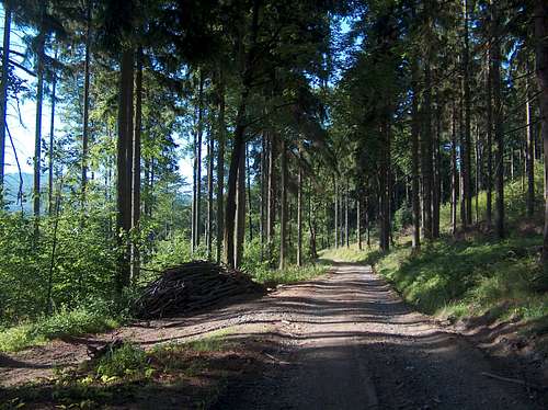 On the trails of Kłodzka Góra