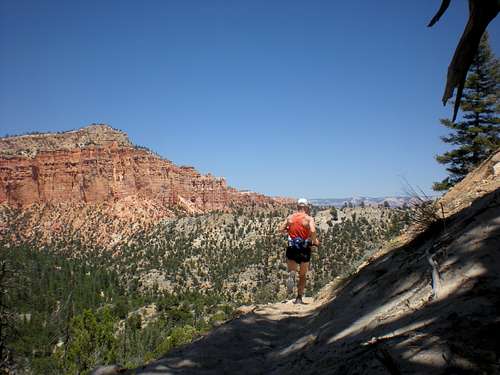 Craig running Bryce Canyon