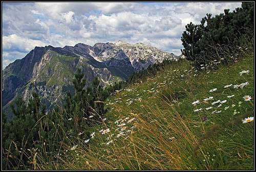 Summer above Kal alpine meadow