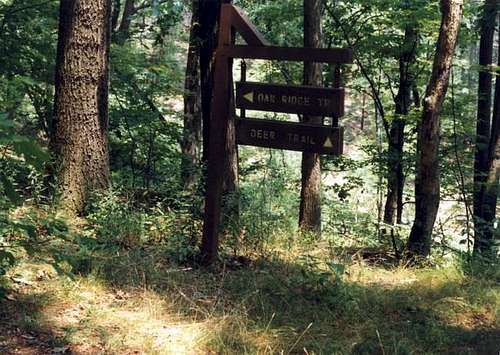 Oak Ridge Trail