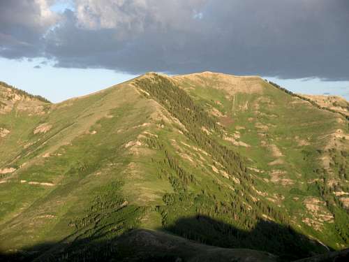 White Pine Peak
