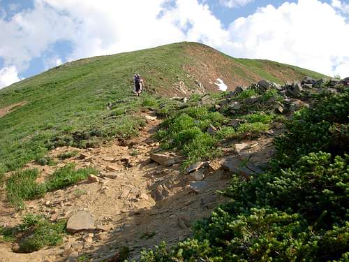 White Mountain - South Ridge