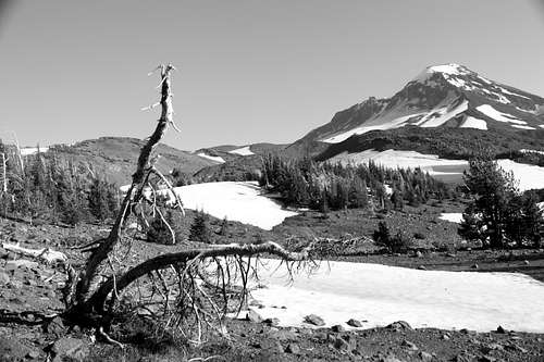 South Sister in BW