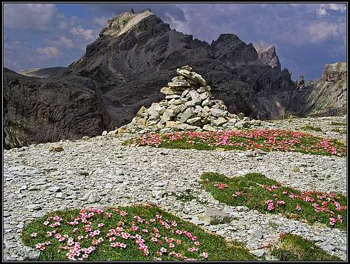 Eastern Puezspitze from east,...