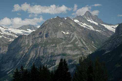 Schreckhorn